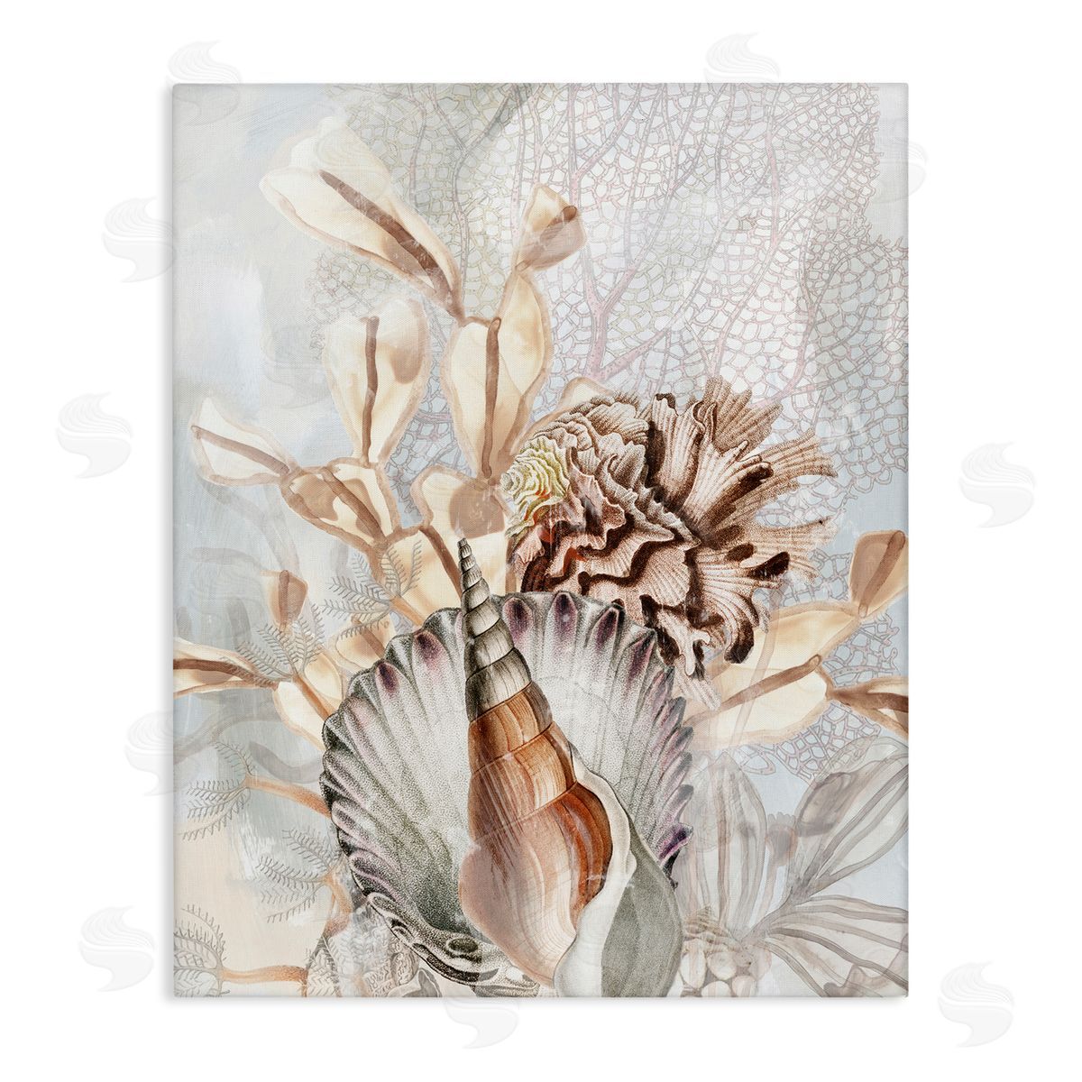 June Erica Vess Various Beige Sea Life Canvas Wall Art