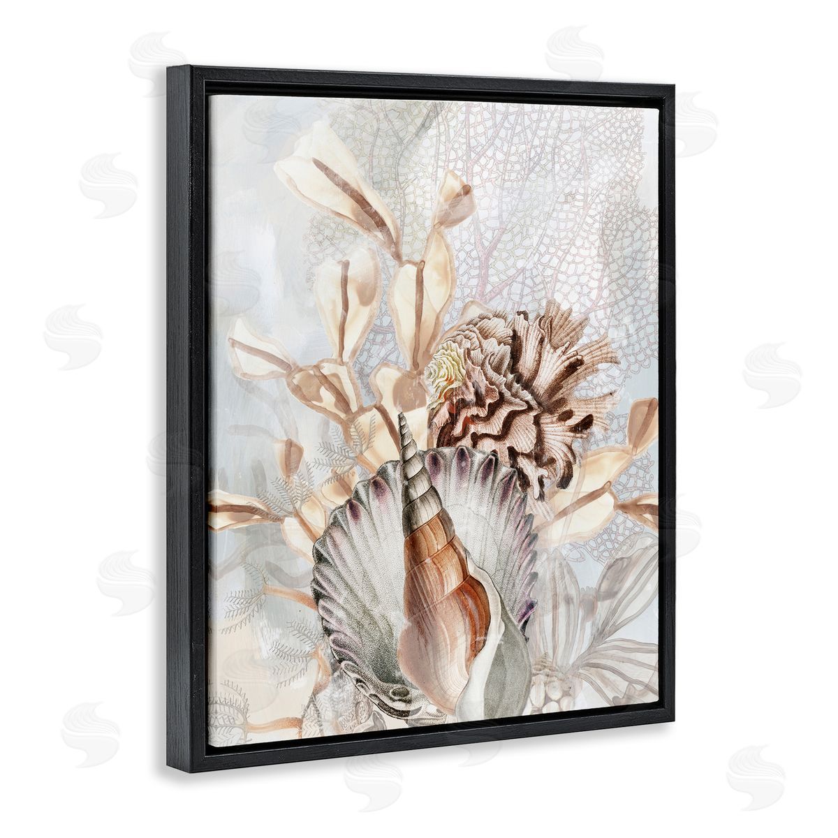 June Erica Vess Various Beige Sea Life Black Floater Frame Canvas Artside_