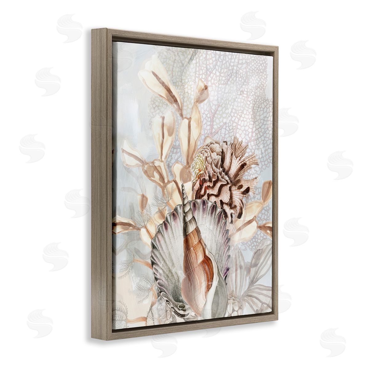 June Erica Vess | Various Beige Sea Life