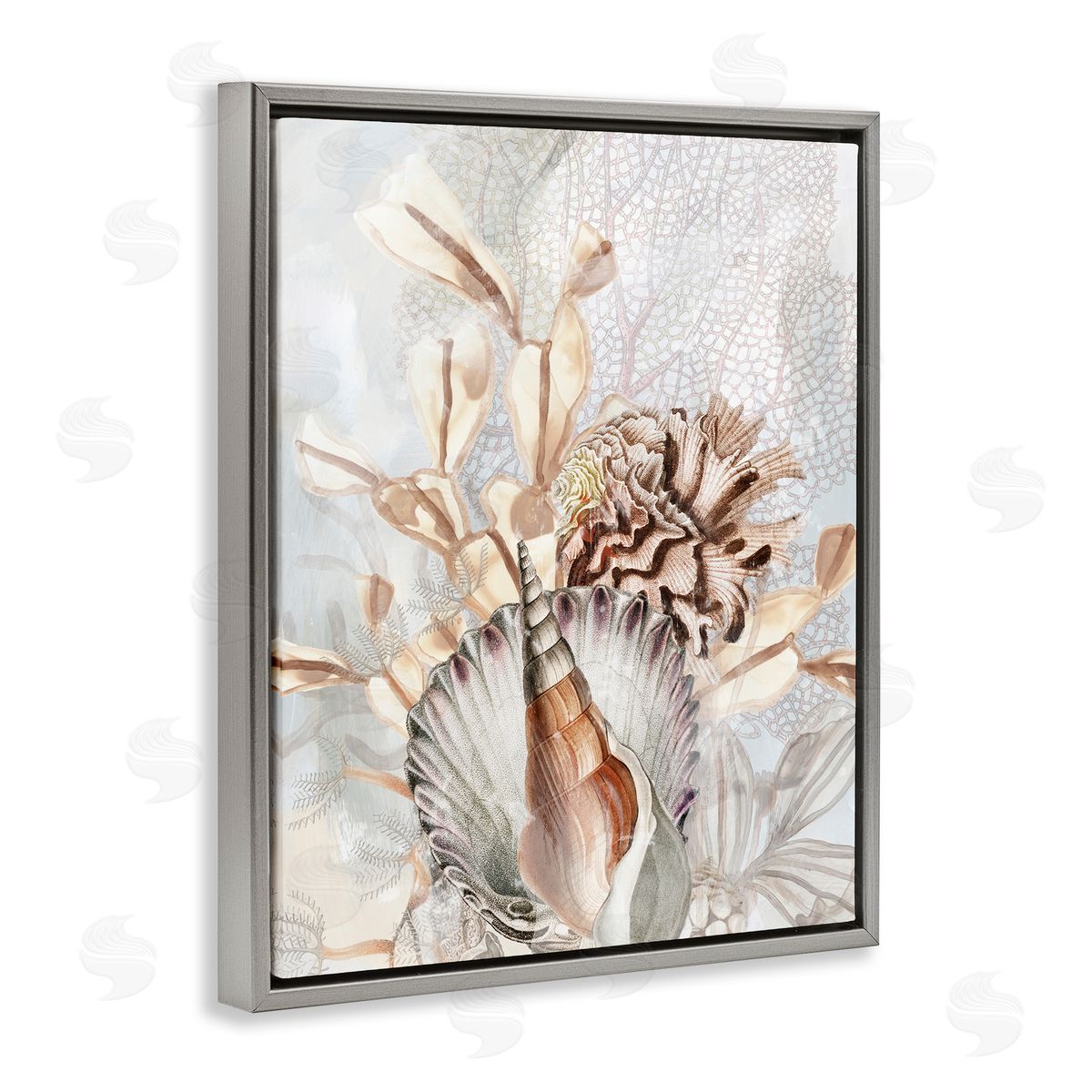 June Erica Vess Various Beige Sea Life Gray Floater Frame Canvas Artside_