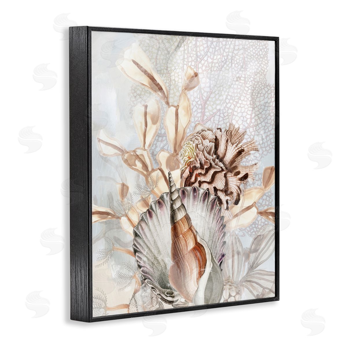 June Erica Vess | Various Beige Sea Life