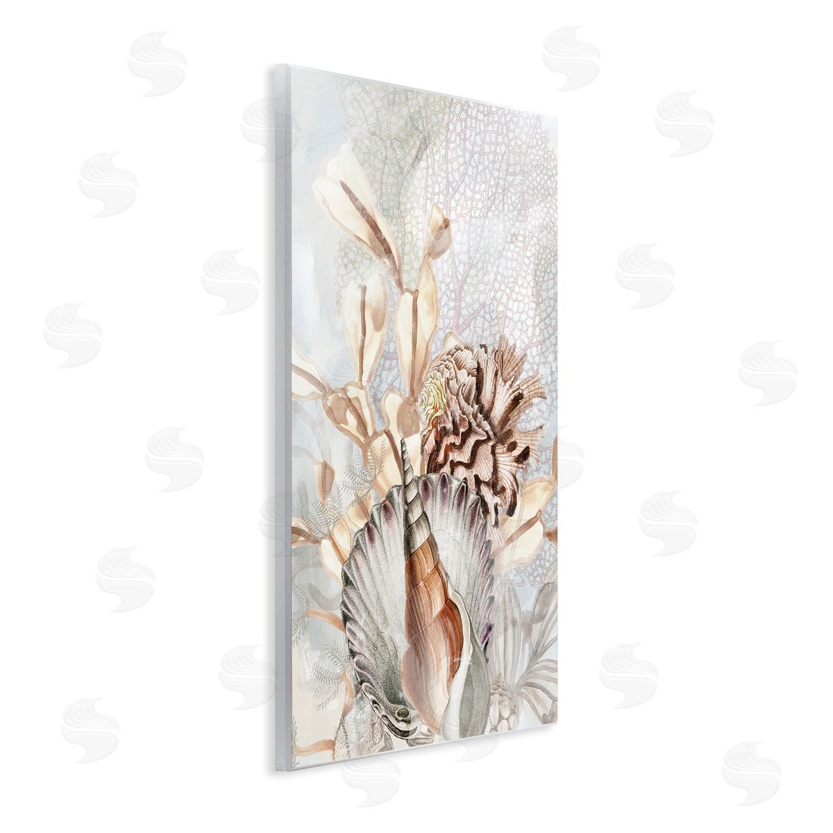 June Erica Vess | Various Beige Sea Life