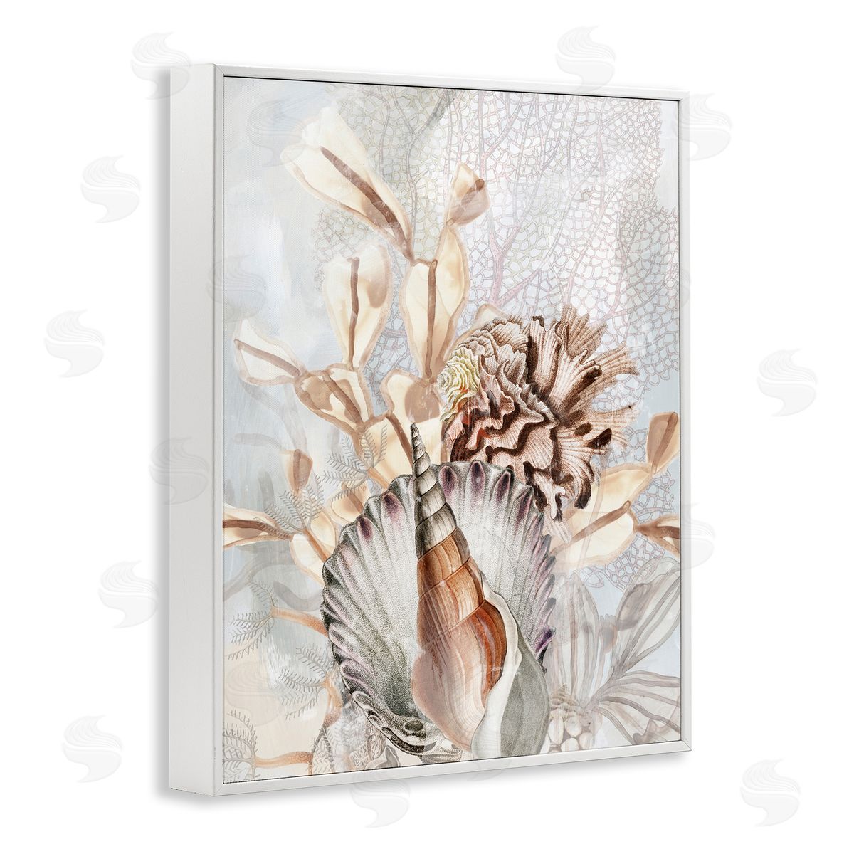 June Erica Vess Various Beige Sea Life White Framed Giclee Wall Artside_
