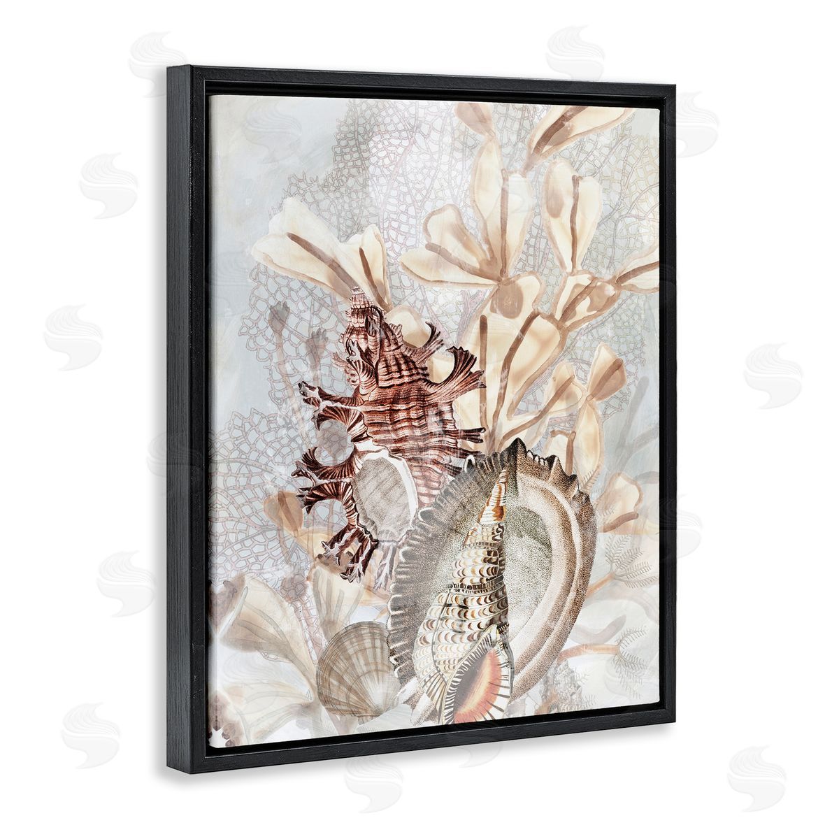 June Erica Vess Beige Mixed Seashells Black Floater Frame Canvas Artside_