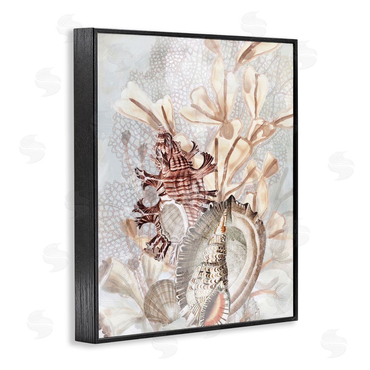 June Erica Vess Beige Mixed Seashells Black Framed Giclee Wall Artside_
