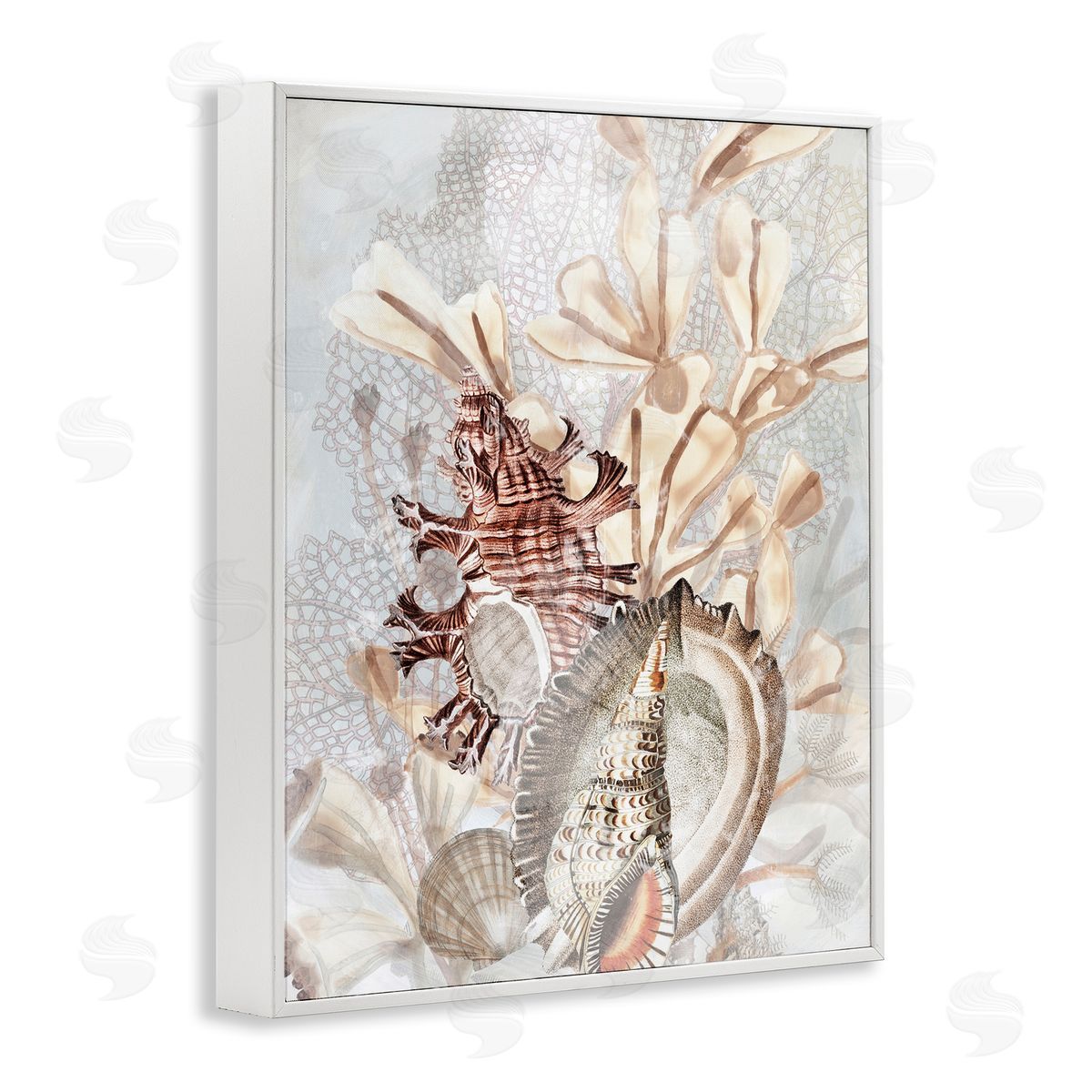 June Erica Vess Beige Mixed Seashells White Framed Giclee Wall Artside_