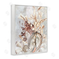 June Erica Vess | Beige Mixed Seashells