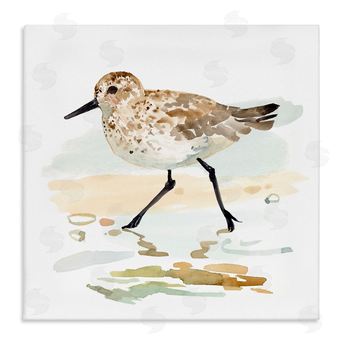 Victoria Barnes Sandpiper Stepping on Shore Canvas Wall Art