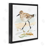 Victoria Barnes | Sandpiper Stepping on Shore
