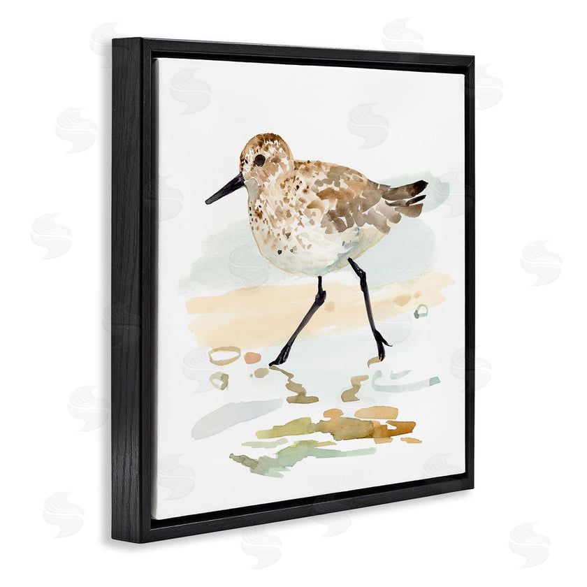 Victoria Barnes | Sandpiper Stepping on Shore