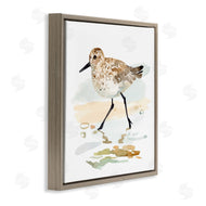 Victoria Barnes | Sandpiper Stepping on Shore