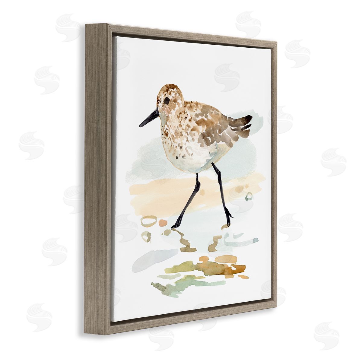 Victoria Barnes | Sandpiper Stepping on Shore