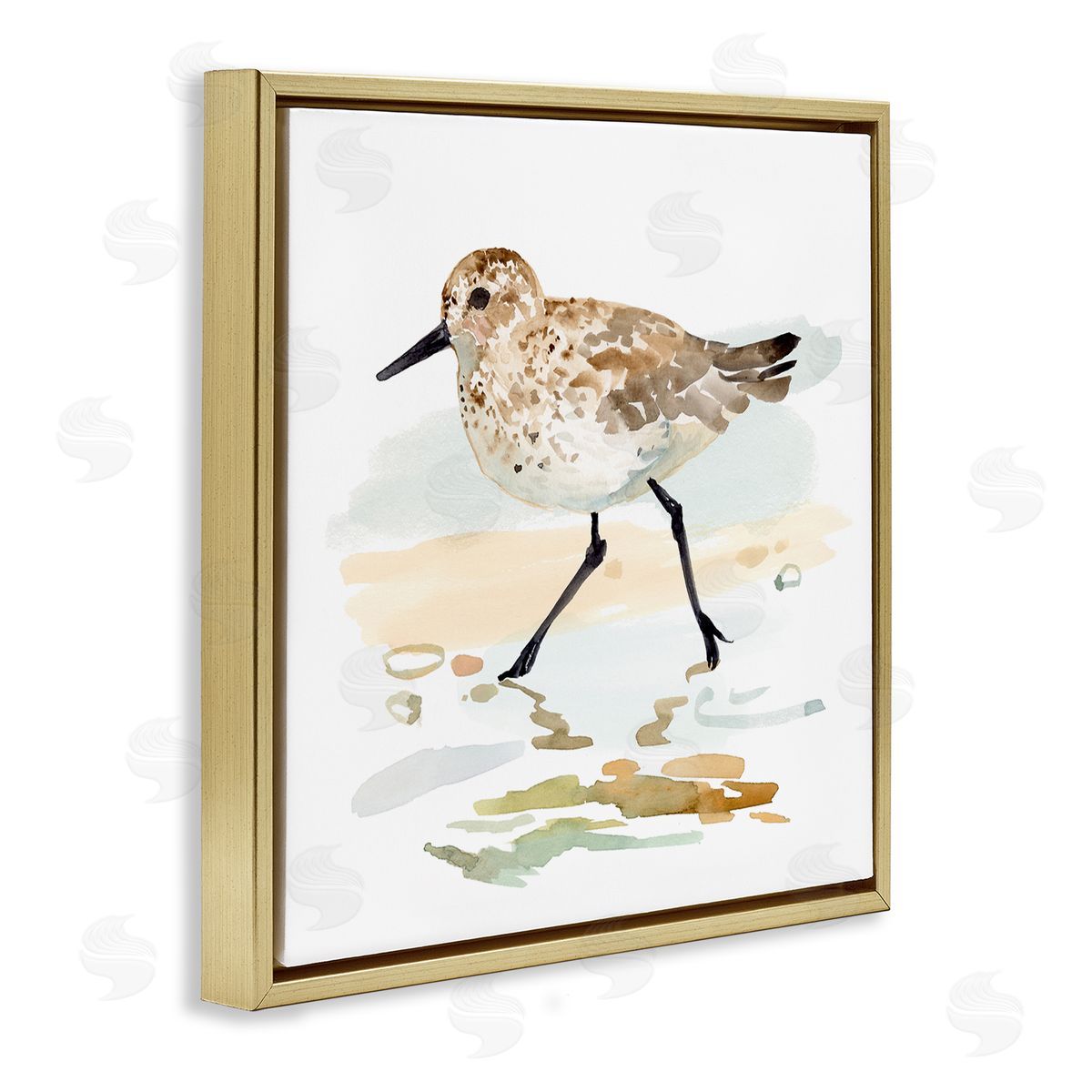 Victoria Barnes Sandpiper Stepping on Shore Gold Floater Frame Canvas Artside_