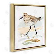 Victoria Barnes | Sandpiper Stepping on Shore