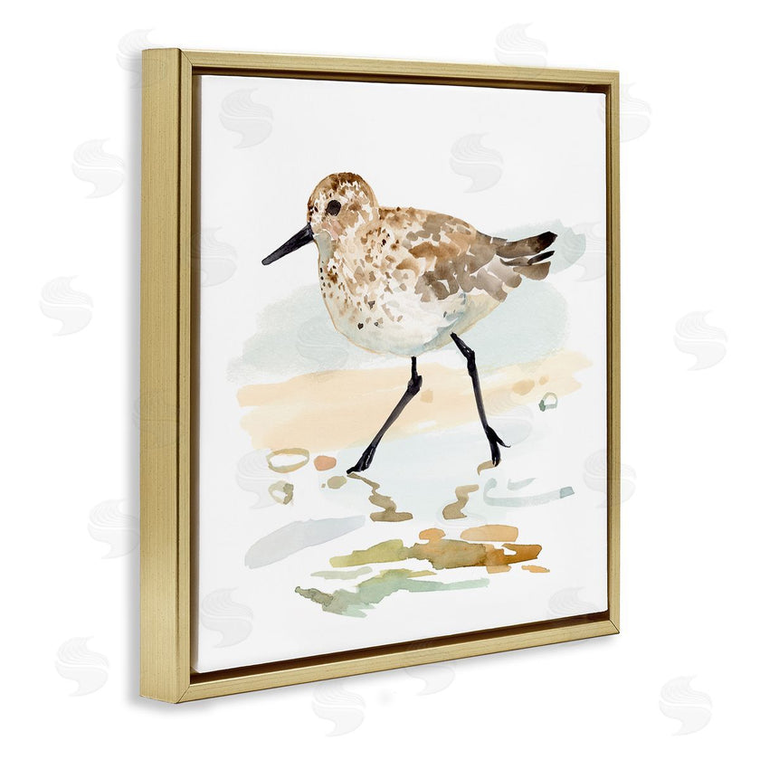 Victoria Barnes | Sandpiper Stepping on Shore