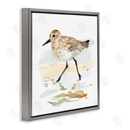 Victoria Barnes | Sandpiper Stepping on Shore