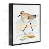Victoria Barnes | Sandpiper Stepping on Shore