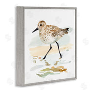 Victoria Barnes | Sandpiper Stepping on Shore