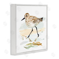 Victoria Barnes | Sandpiper Stepping on Shore