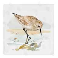 Victoria Barnes | Grazing Sandpiper Shoreline