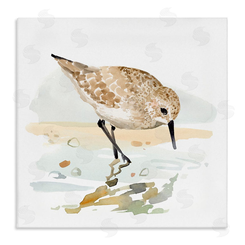 Victoria Barnes | Grazing Sandpiper Shoreline