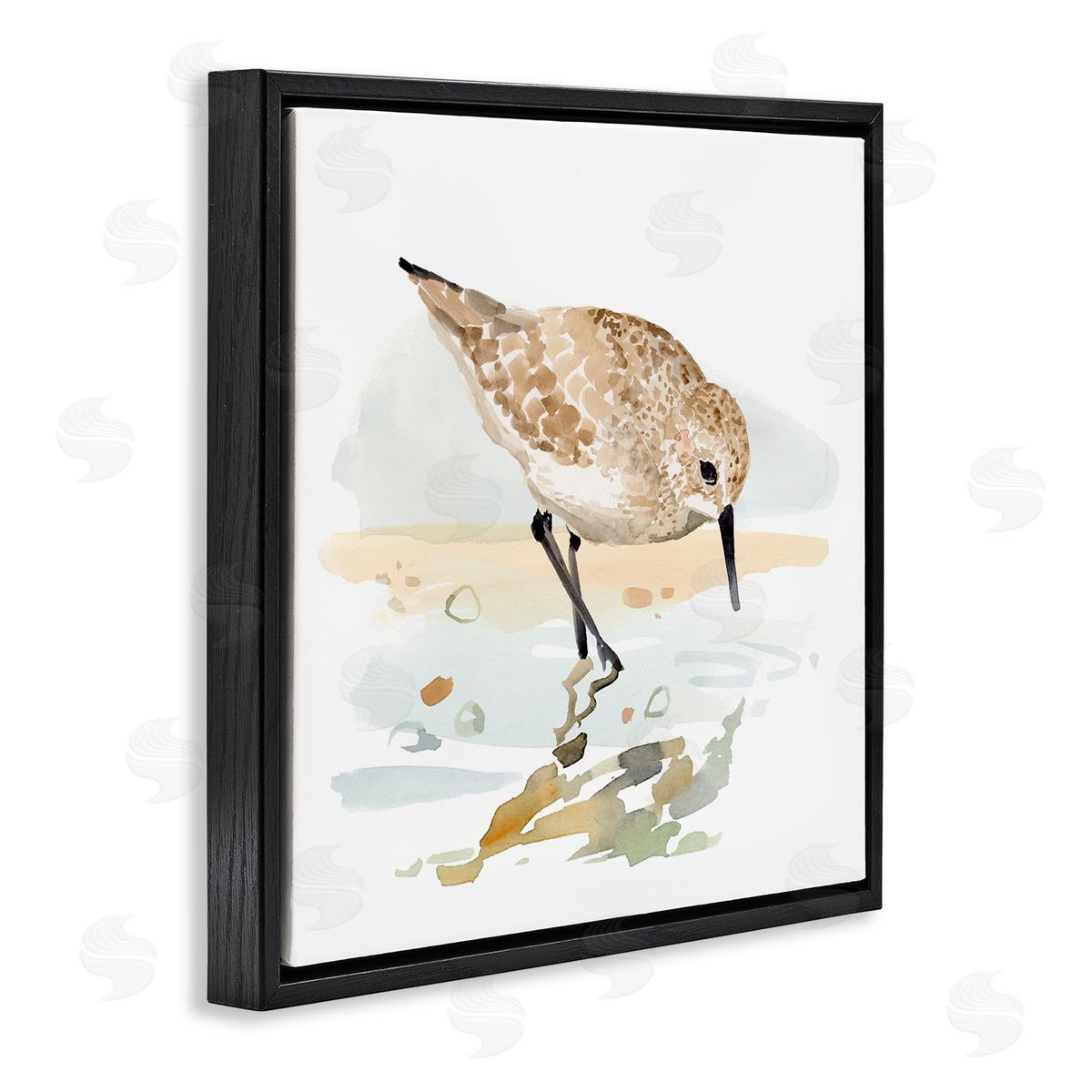 Victoria Barnes | Grazing Sandpiper Shoreline