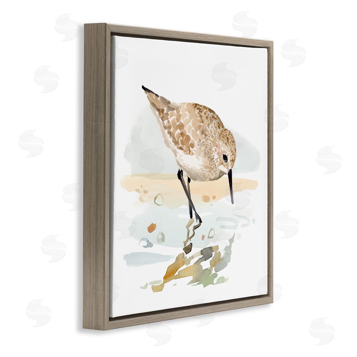 Victoria Barnes Grazing Sandpiper Shoreline Brown Floater Frame Canvas Artside_