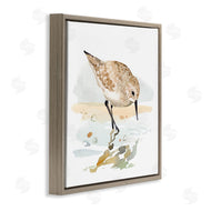 Victoria Barnes | Grazing Sandpiper Shoreline