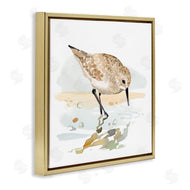 Victoria Barnes | Grazing Sandpiper Shoreline