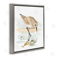 Victoria Barnes | Grazing Sandpiper Shoreline