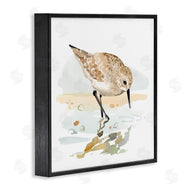 Victoria Barnes | Grazing Sandpiper Shoreline