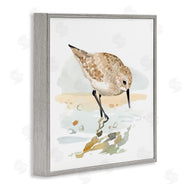 Victoria Barnes | Grazing Sandpiper Shoreline