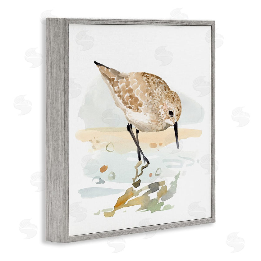 Victoria Barnes | Grazing Sandpiper Shoreline