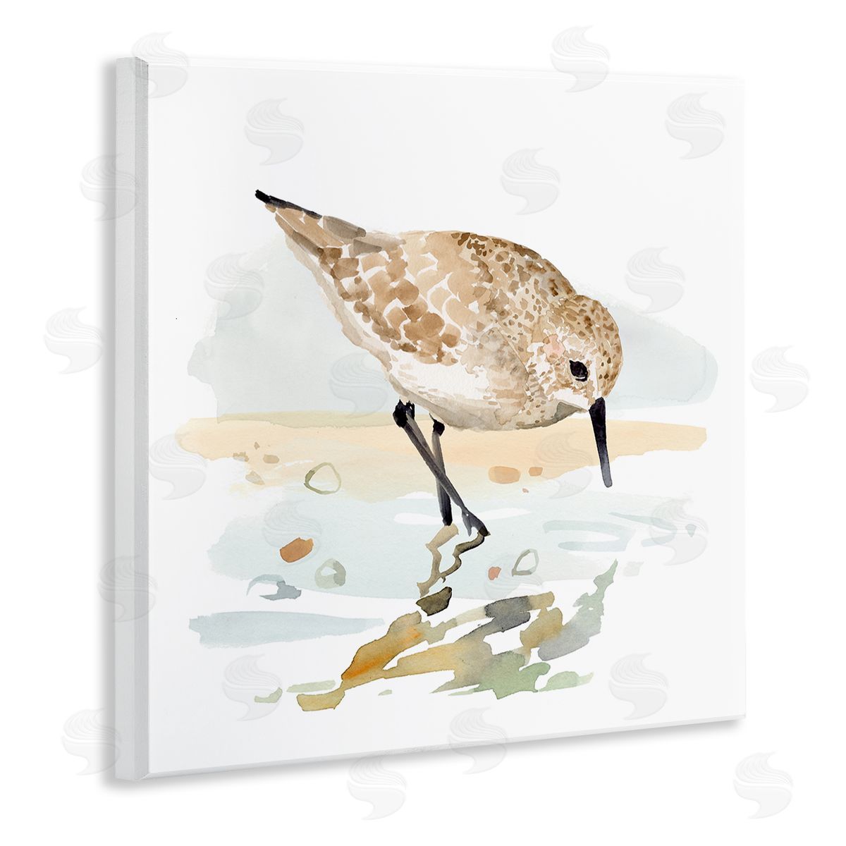 Victoria Barnes | Grazing Sandpiper Shoreline
