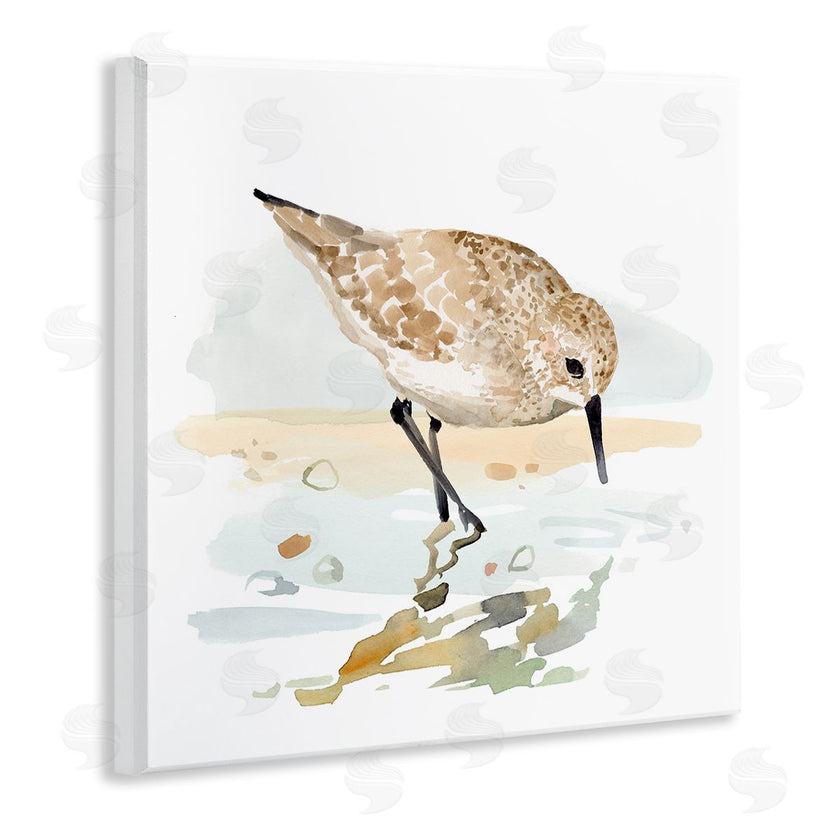Victoria Barnes | Grazing Sandpiper Shoreline