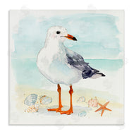 Victoria Barnes | Coastal Seagull & Shells