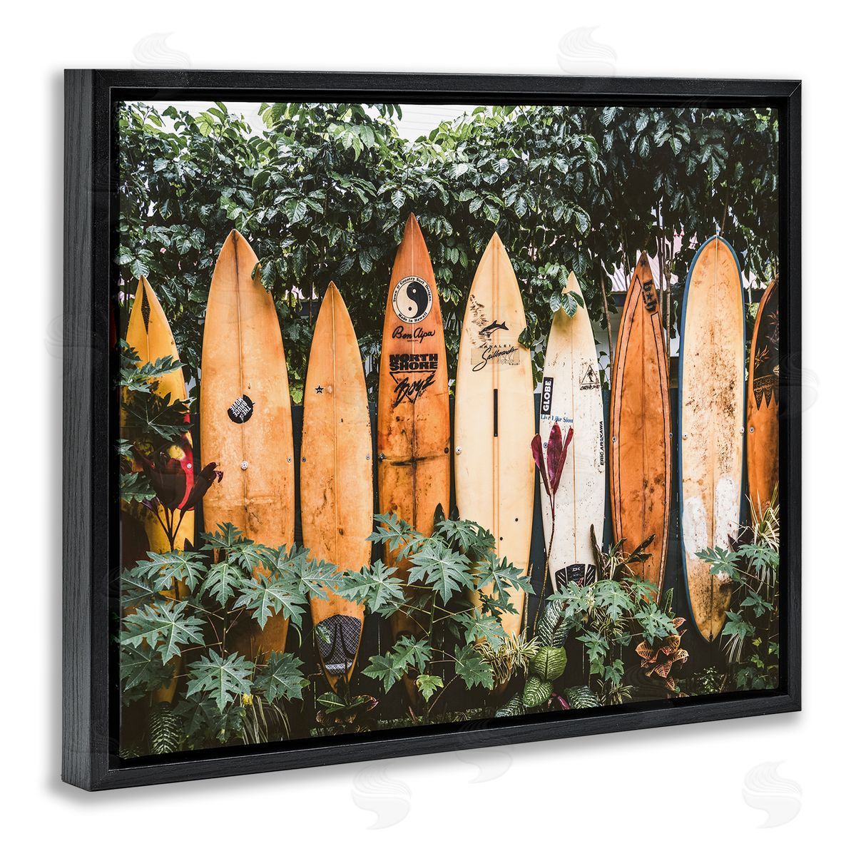 Krista Broadway | Surf Boards in Nature