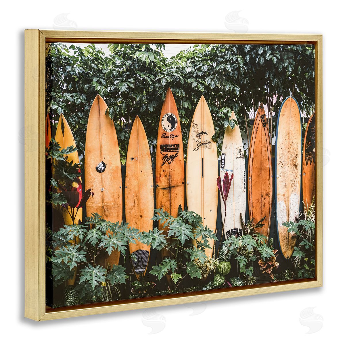 Krista Broadway | Surf Boards in Nature