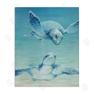 Cloverfield & Co. | Sea Turtles Gazing