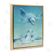 Cloverfield & Co. | Sea Turtles Gazing