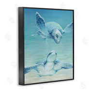 Cloverfield & Co. | Sea Turtles Gazing