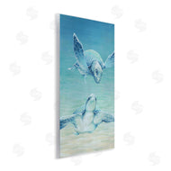 Cloverfield & Co. | Sea Turtles Gazing