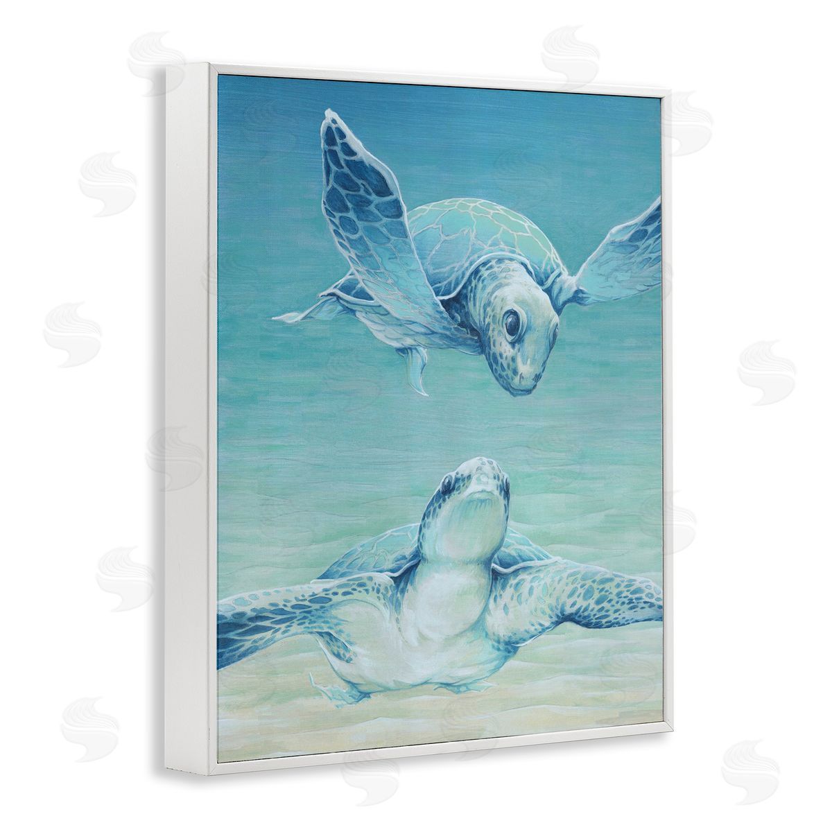 Cloverfield & Co. | Sea Turtles Gazing