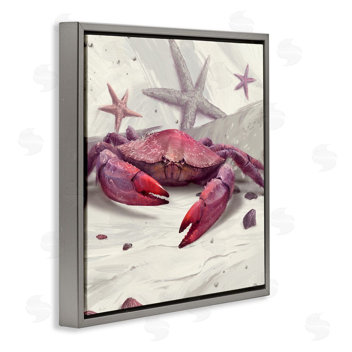 Vlad Mel | Detailed Red Crab