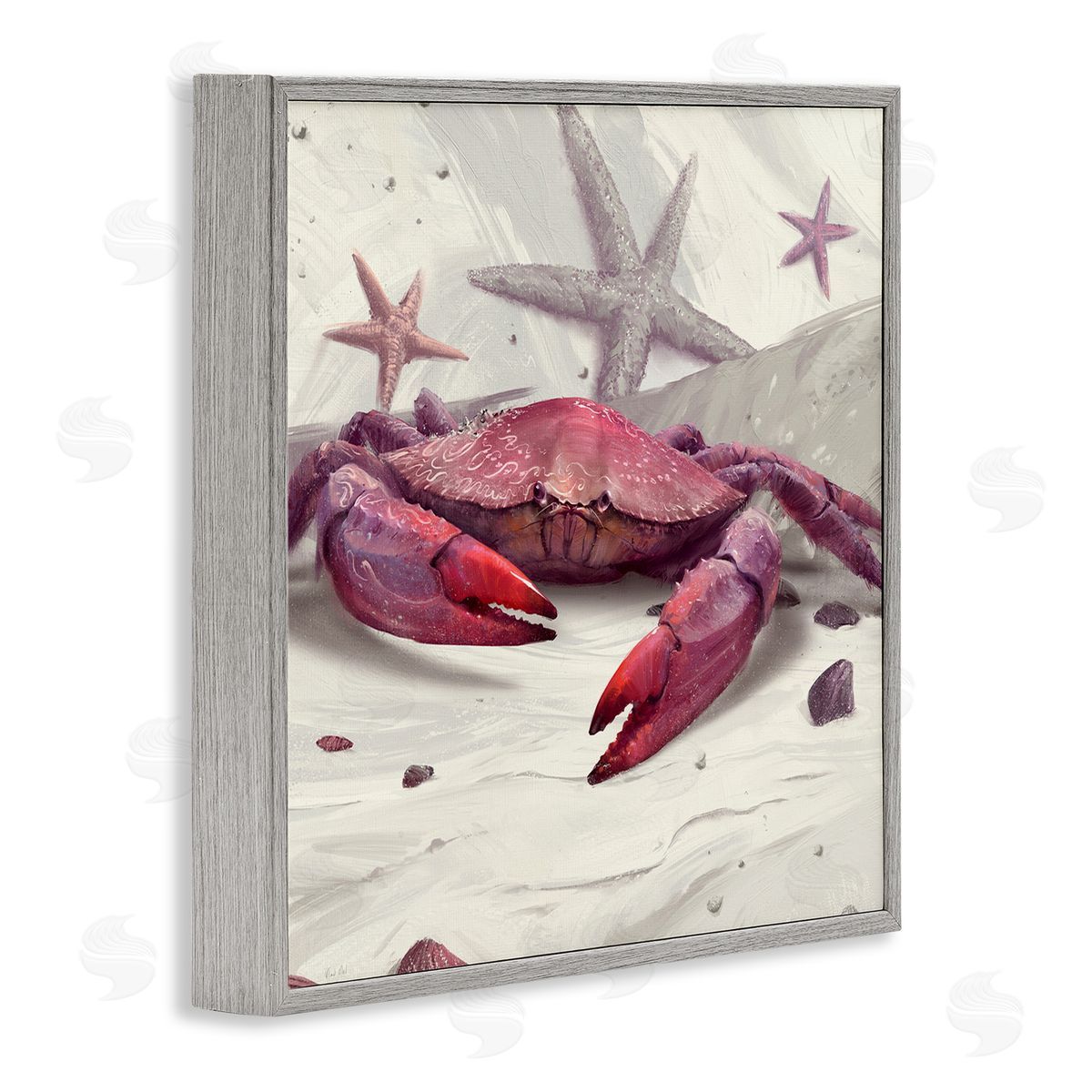 Vlad Mel Detailed Red Crab Gray Framed Giclee Wall Artside_