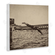 Graffitee Studios | Vintage Diving Man