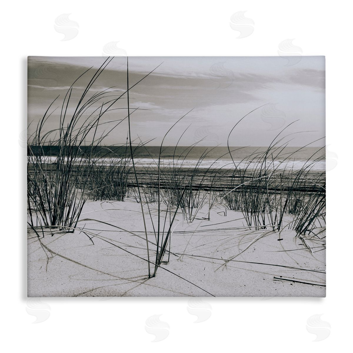 Graffitee Studios | Ocean Dunes Photography