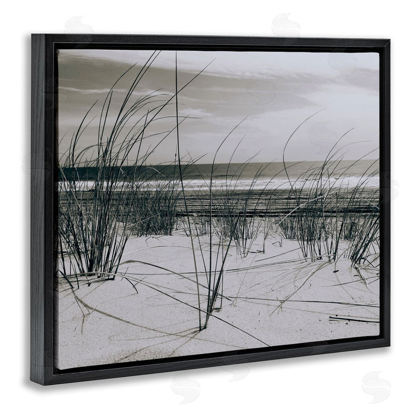 Graffitee Studios | Ocean Dunes Photography