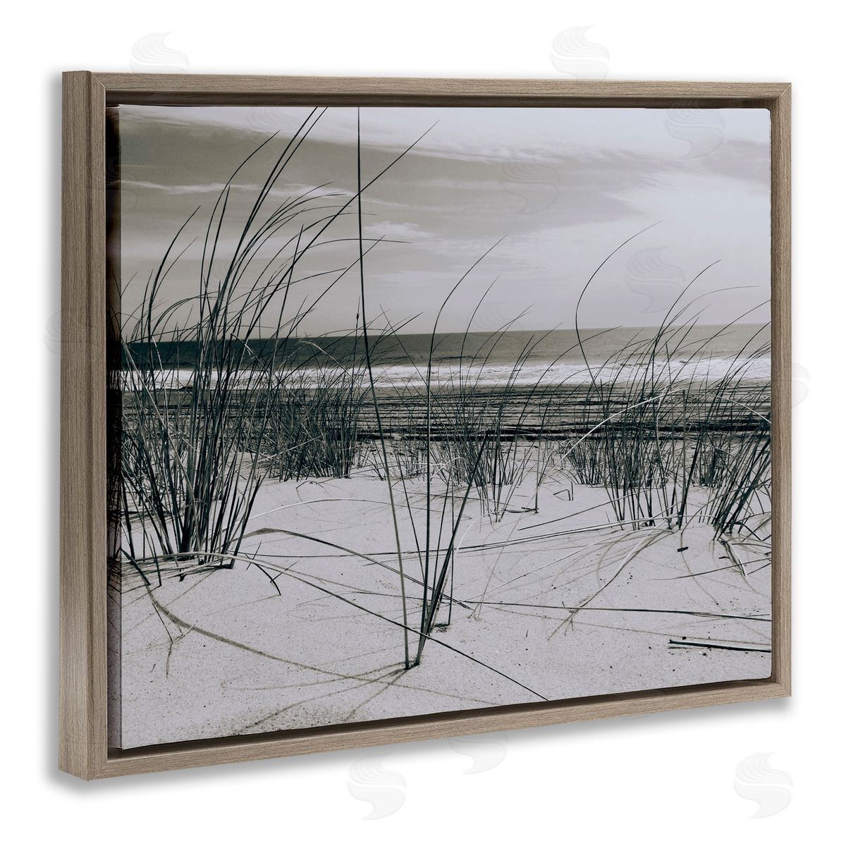 Graffitee Studios | Ocean Dunes Photography