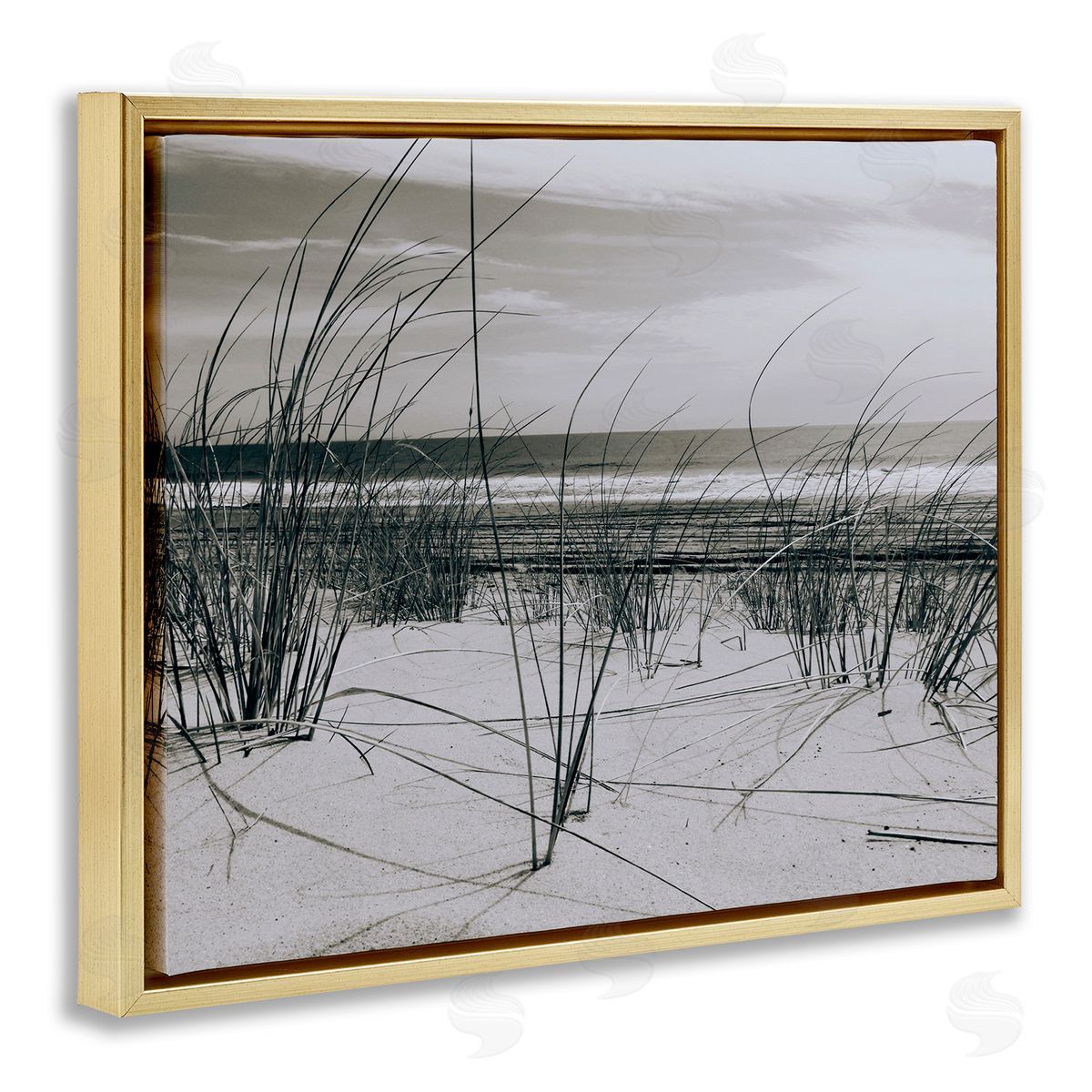 Graffitee Studios Ocean Dunes Photography Gold Floater Frame Canvas Artside_